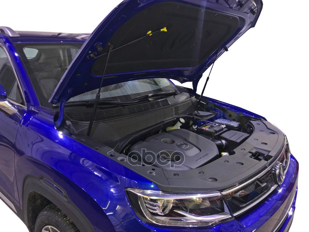 Упоры капота для CHANGAN CS35 Plus, 2018-, к-т 2 шт / Чанган СиЭс 35 плюс Arbori арт. ARBORI.HD.050101