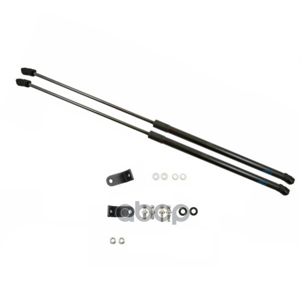 Упоры капота для KAIYI X3, 2020-, X3 Pro, 2022-, к-т 2 шт / Каию Икс 3 Arbori арт. ARBORI.HD.067102