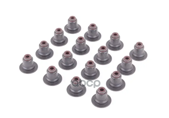 Колпачки Маслосъемные F20, F20n, F21, F21n, F30, F30n, F31, F35, F35n, R55, R55n, R56, R56n, R57, R57n, R58, R59, R60, R61 BM...