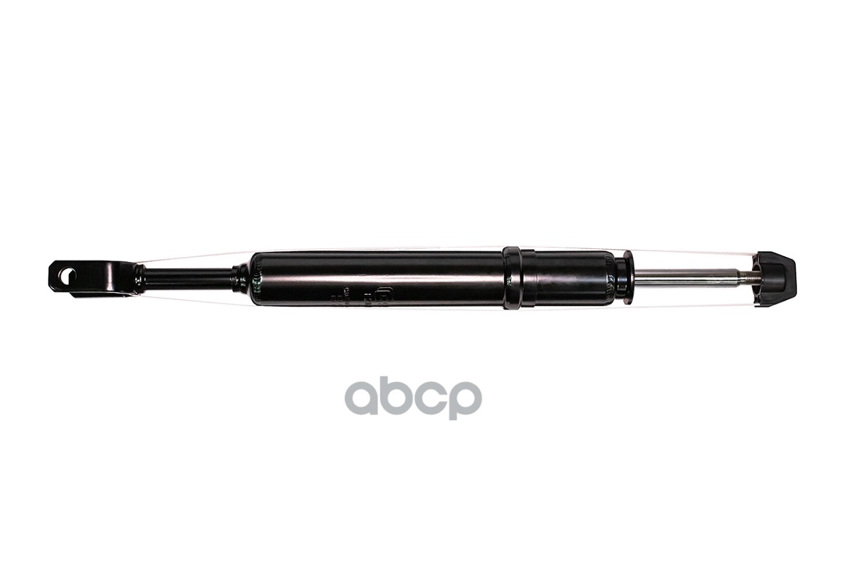 Амортизатор передний, GAS F21GR0097 CWORKS арт. F21GR0097