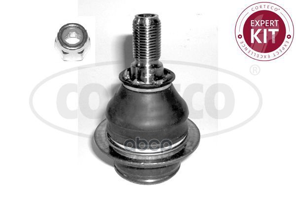 Опора Шаровая Ford: Transit Connect / Tourneo Connect 02-13 Corteco арт. 49398687