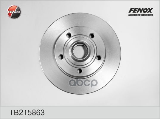 Диск торм.зад Audi FENOX арт. tb215863