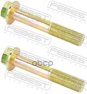 Болт крепления рычага задн подвески HONDA CIVIC 06-15 (компл-2шт) 0298-008-PCS2 Febest арт. 0298-008-PCS2