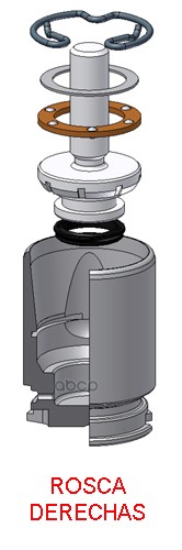 Поршень суппорта с механизмом правый FORD TRANSIT V SERIES ( 06->13 ) 04-06-> Frenkit арт. k485205r