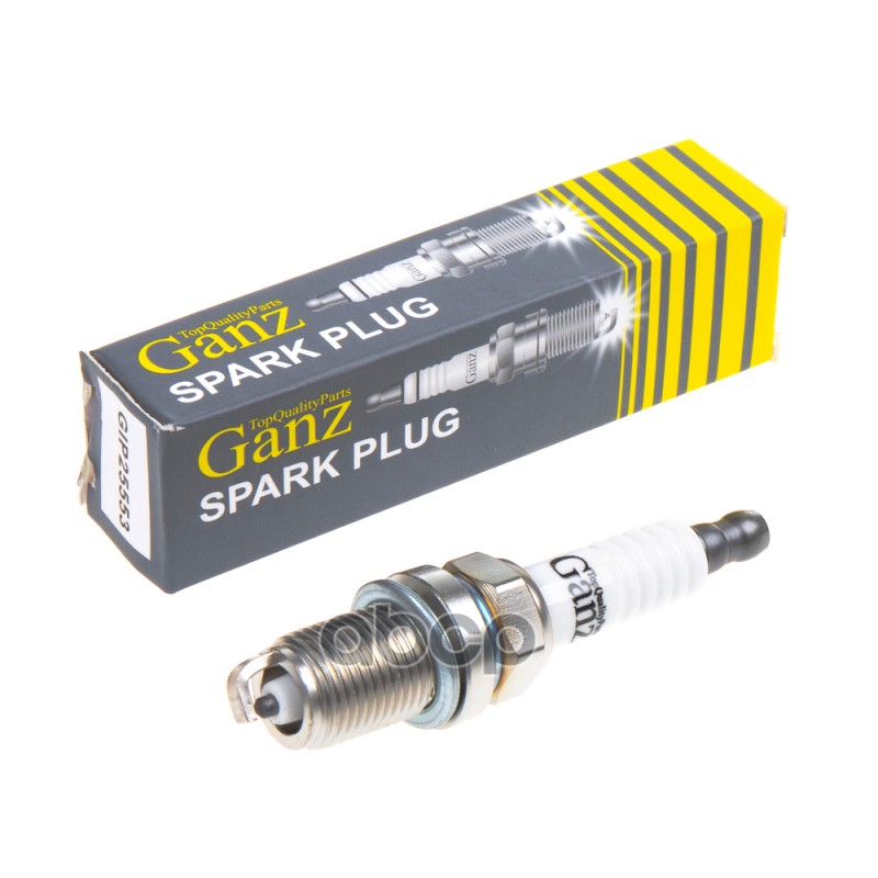 Свеча зажигания (5553) KIA ISUZU GANZ GIP25553 GANZ арт. GIP25553