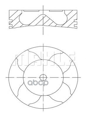 Поршень Двс Audi: A4 2.5 Tdi/2.5 Tdi Quattro 00-04, A4 Avant 2.5 Tdi/2.5 Tdi Quattro 01-04, A4 Кабрио 2.5 Tdi 02-09, A6 2.5 T...