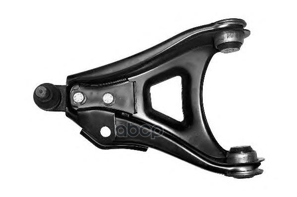 Рычаг передний L RENAULT Clio II/Kangoo/Symbol/Thalia MOOG RE-WP-0339 Moog арт. RE-WP-0339