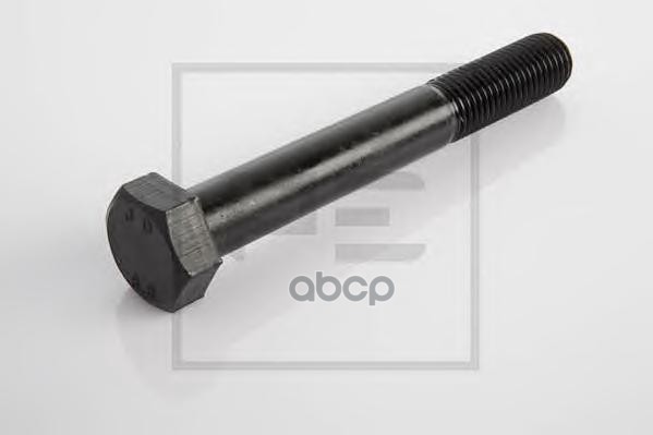 Болт Амортизатора M20*2.5*240 Schmitz PE Automotive арт. 070.462-00A