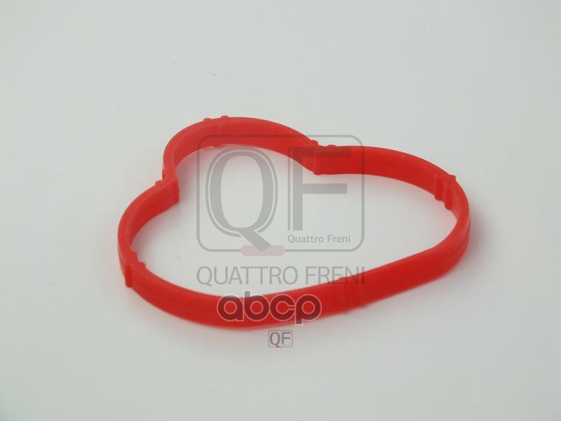 Прокладка впускного коллектора QUATTRO FRENI арт. qf76a00205