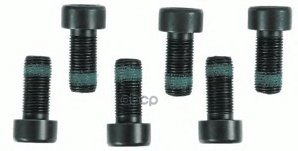 Комплект болтов маховика  6шт. M10x1x22 Sachs арт. 1874000003