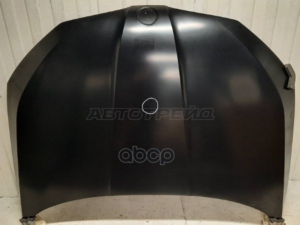 Капот SKODA RAPID 20- (уценка на 10%) Sat арт. D10-ST-38-0008-U003