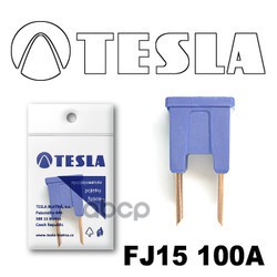 Предохранитель TESLA FJ15 100A TESLA арт. FJ15 100A