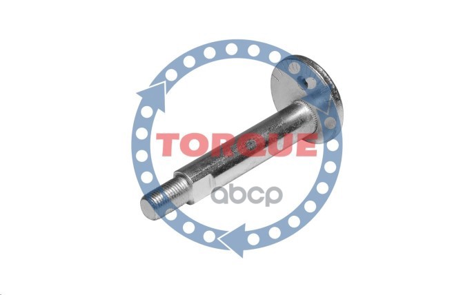 Болт Эксцентриковый Mitsubishi Pajero Iii Сзади Подпружинный Рычаг Cp004 TORQUE арт. CP004