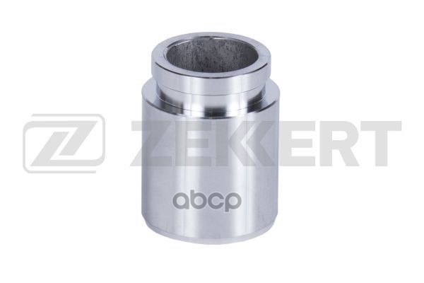 Поршень тормозного суппорта задн. Nissan Qashqai (J10) 07-  X-Trail (T30/31) 01-  Mitsubishi Lancer Zekkert арт. br-1532