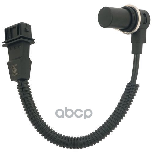 Датчик Положения Распредвала   Hyundai Terracan Kia Carnival K2500k2700k2900k300 Zikmar арт. Z23227R