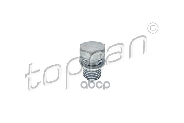 Пробка Маслосливного Отверстия (Замена Для Hp-109035015) topran арт. 109035001