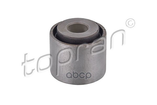 Сайентблок Рычага Подвески (Замена Для Hp-301545755) topran арт. 301545001