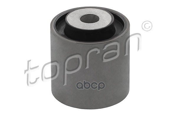 Сайентблок Рычага Подвески (Замена Для Hp-401684755) topran арт. 401684001