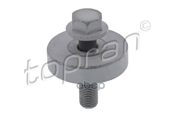 Болт Крепления Шкива Коленвала (Замена Для Hp-701616545) topran арт. 701616001